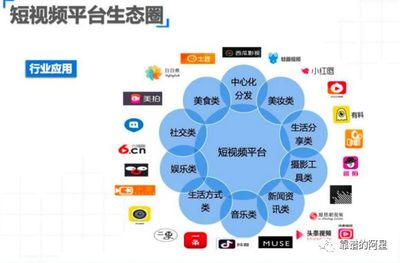 破解增量難題，移動互聯(lián)網(wǎng)步入SDPA時代 社交媒體行業(yè)的新航向